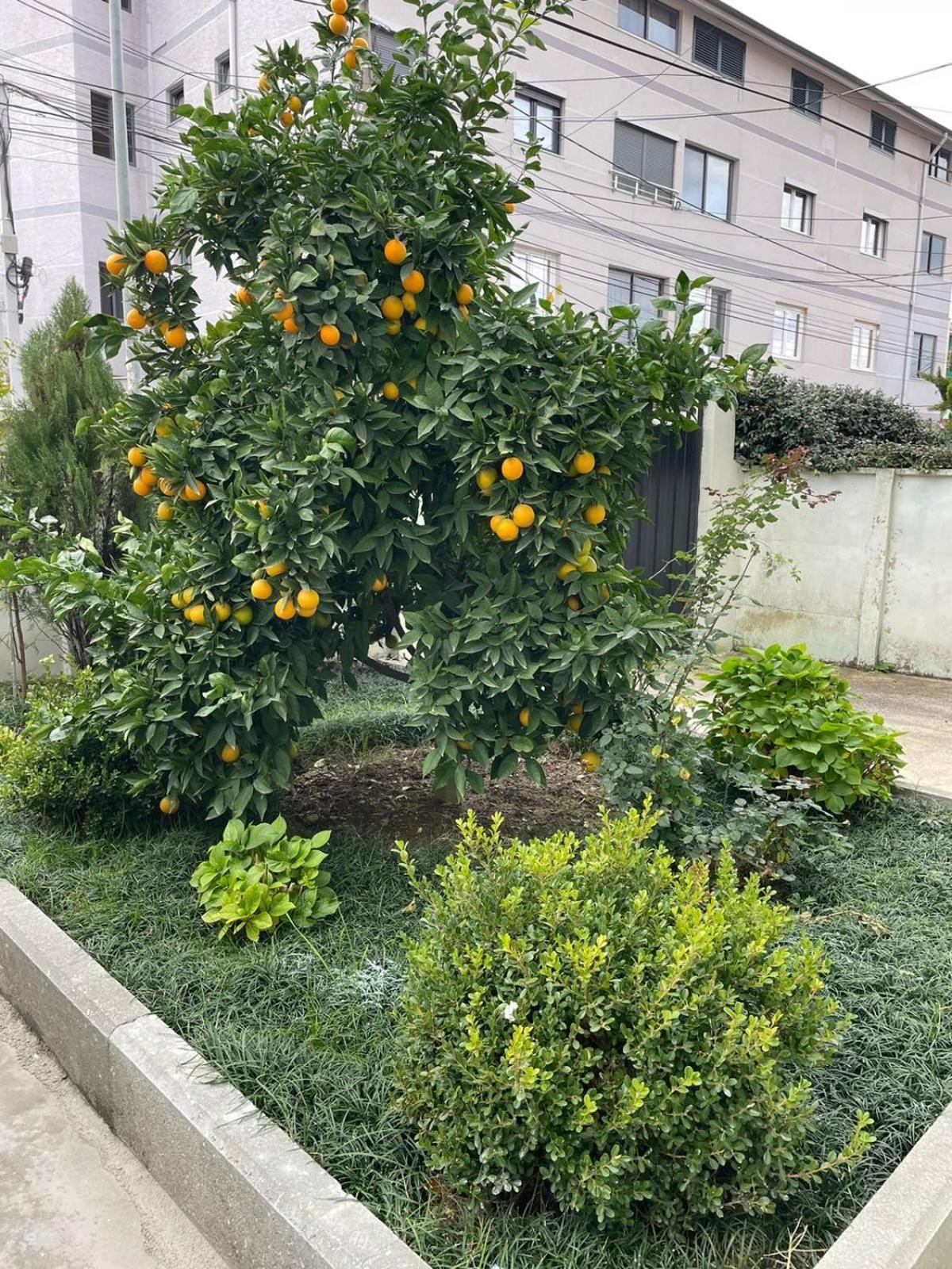 Kevi 'S Place Tirana Kültér fotó