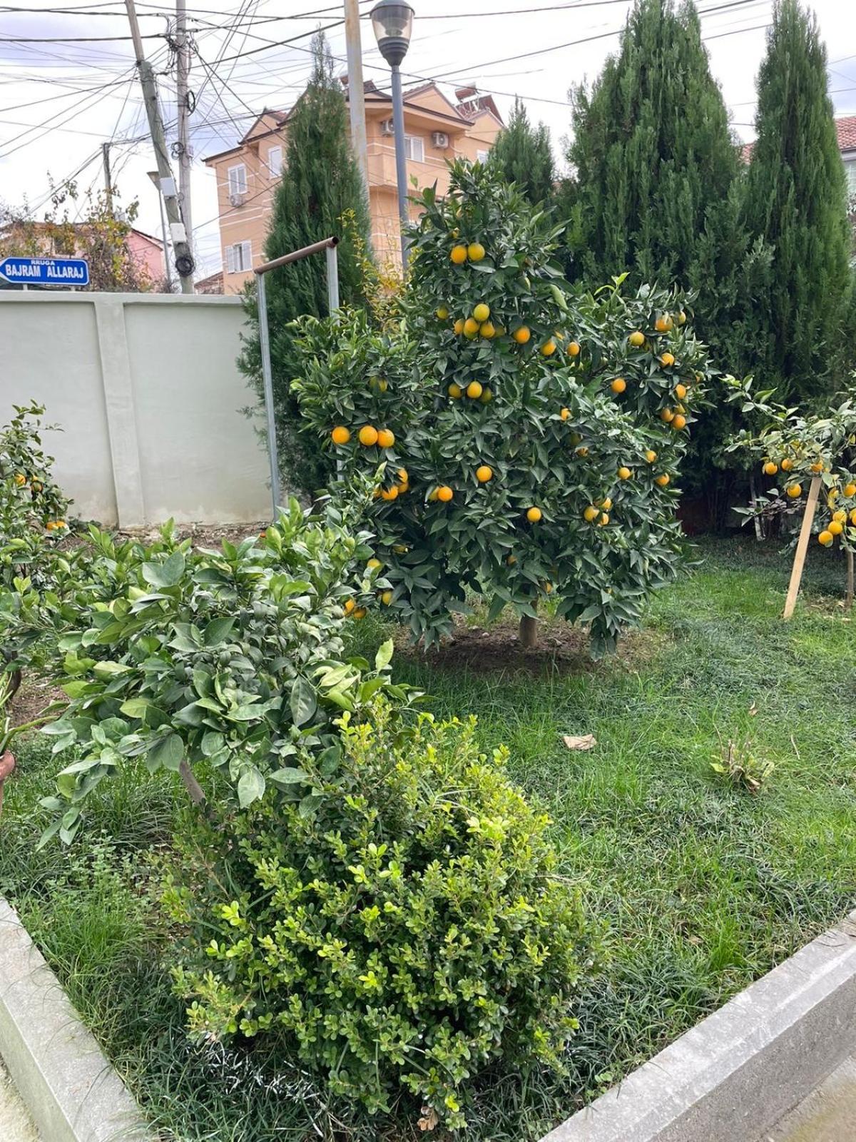 Kevi 'S Place Tirana Kültér fotó
